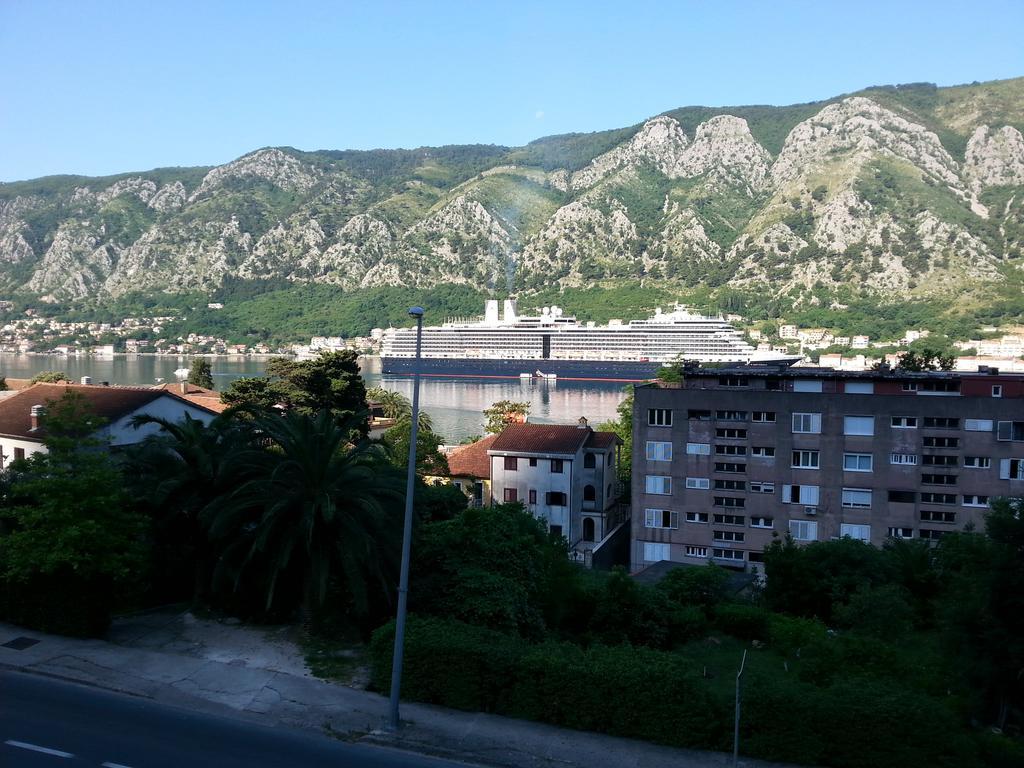 Apartment Kralj Kotor Room photo